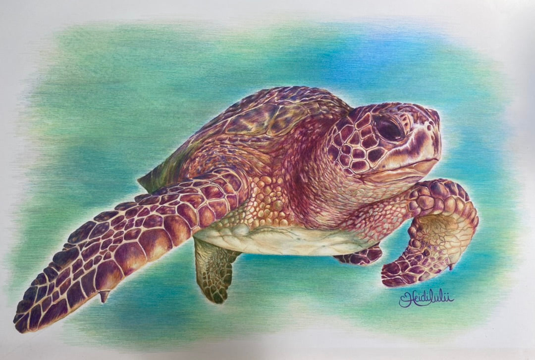 Trent the Turtle Original Artwork