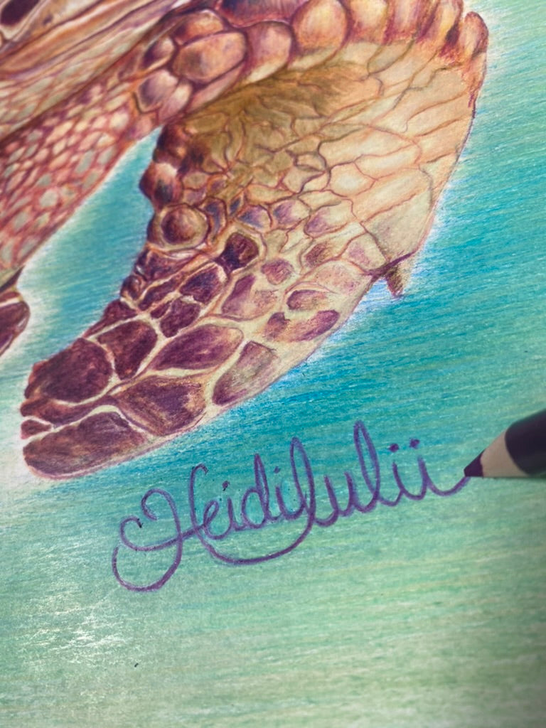 Trent the Turtle Original Artwork