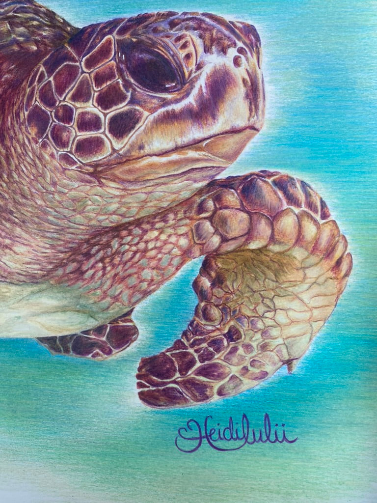 Trent the Turtle Original Artwork