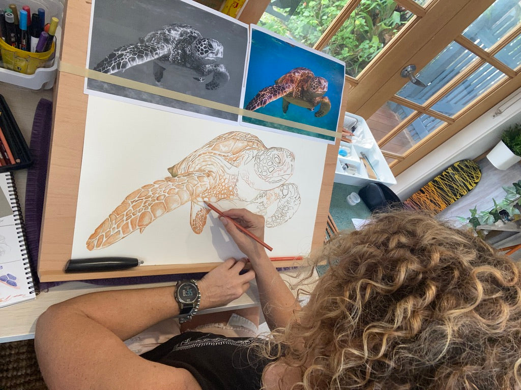 Trent the Turtle Original Artwork