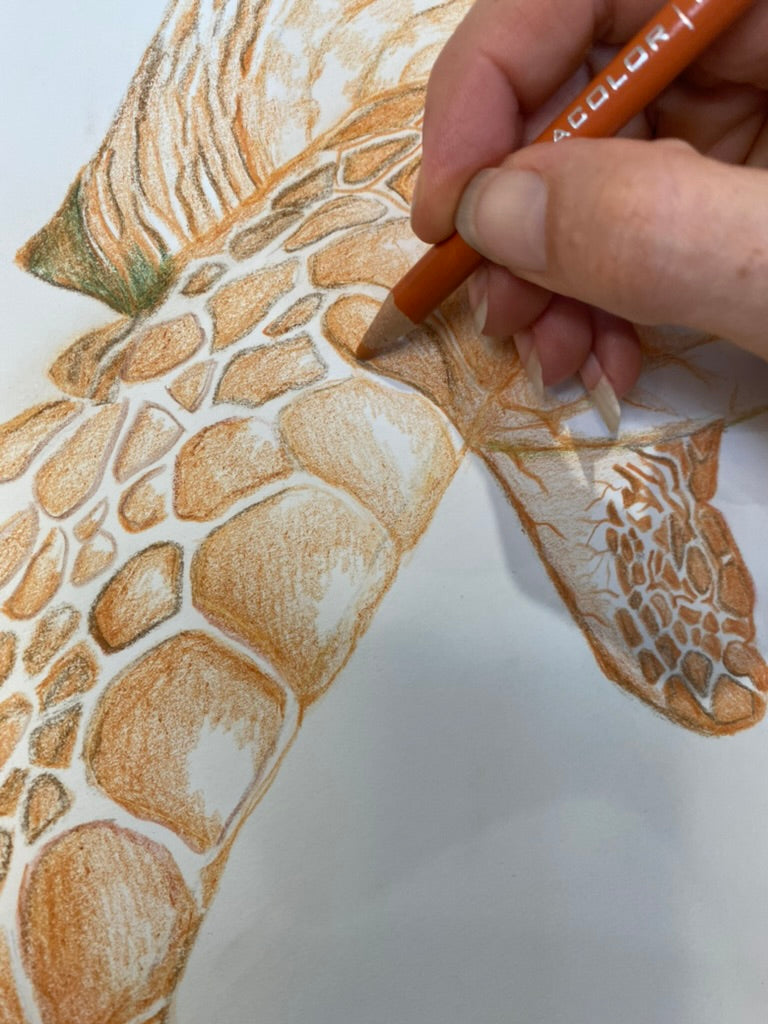 Trent the Turtle Original Artwork