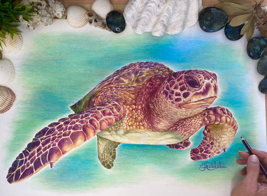 Trent the Turtle Original Artwork
