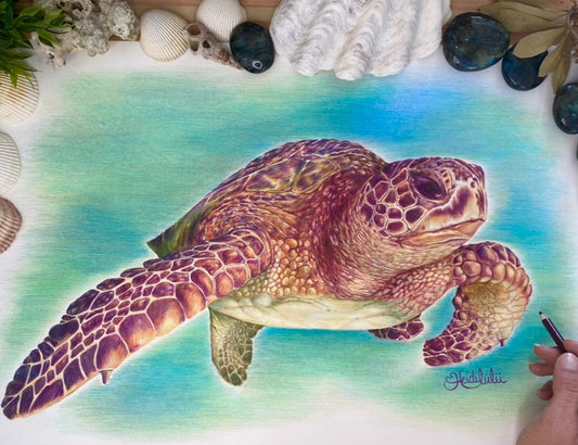 Limited Edition Print- Trent the Turtle